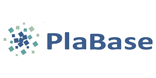 PlaBase