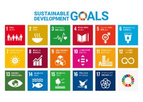 2030年の SDGs 目標達成のために、今、何をすべきか？